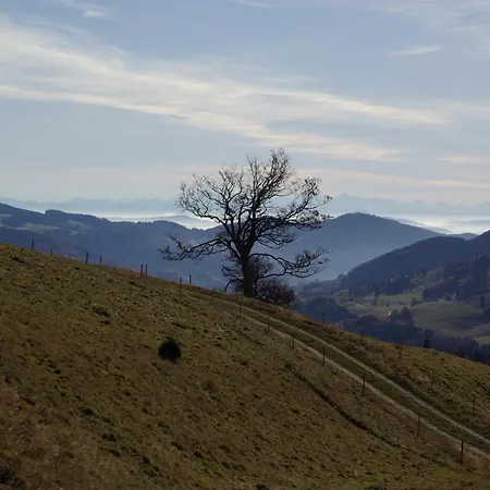 Appartement Haus Foehrenbach