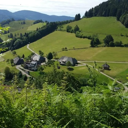 Haus Foehrenbach アパート Schonenberg