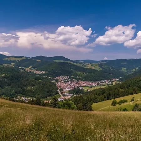 Haus Foehrenbach * Schonenberg