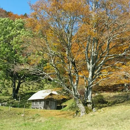 アパート Haus Foehrenbach Schonenberg