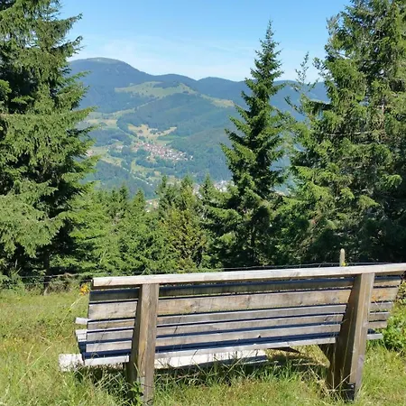 Haus Foehrenbach *