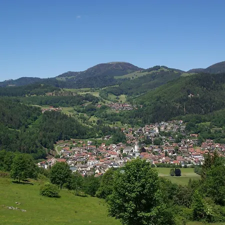 Haus Foehrenbach * Schonenberg