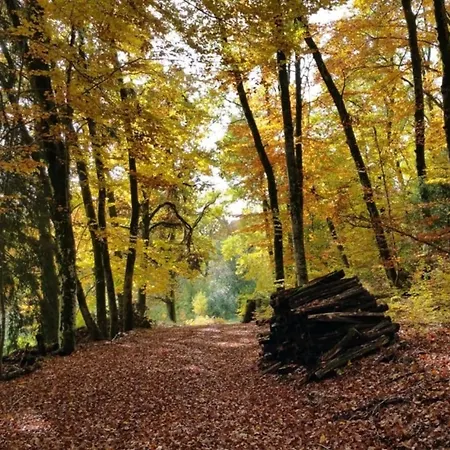 Haus Foehrenbach *