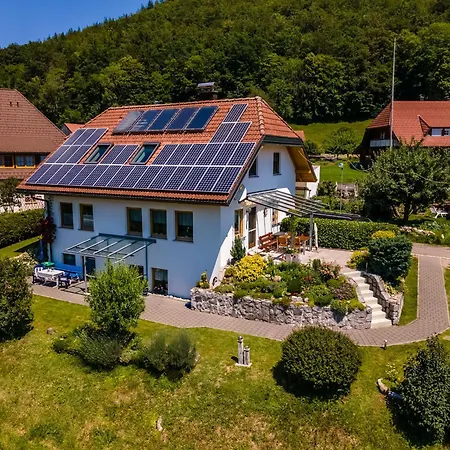 Haus Foehrenbach アパート Schonenberg