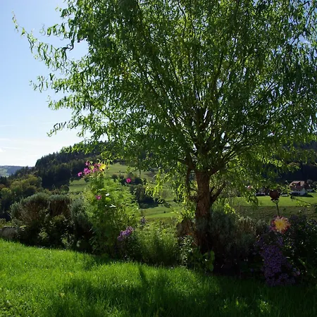 Haus Foehrenbach *